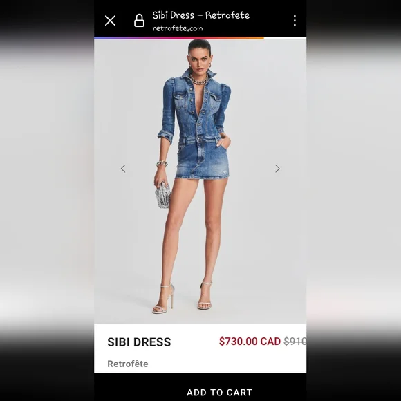 Retrofete Sibi dress Bailey distressed denim mini jean puff sleeves women's xs - Picture 8 of 17